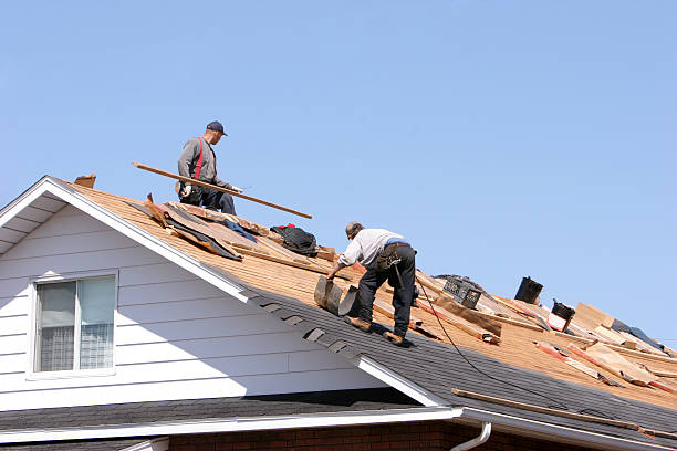 Best Asphalt Shingle Roofing  in Gladstone, MO